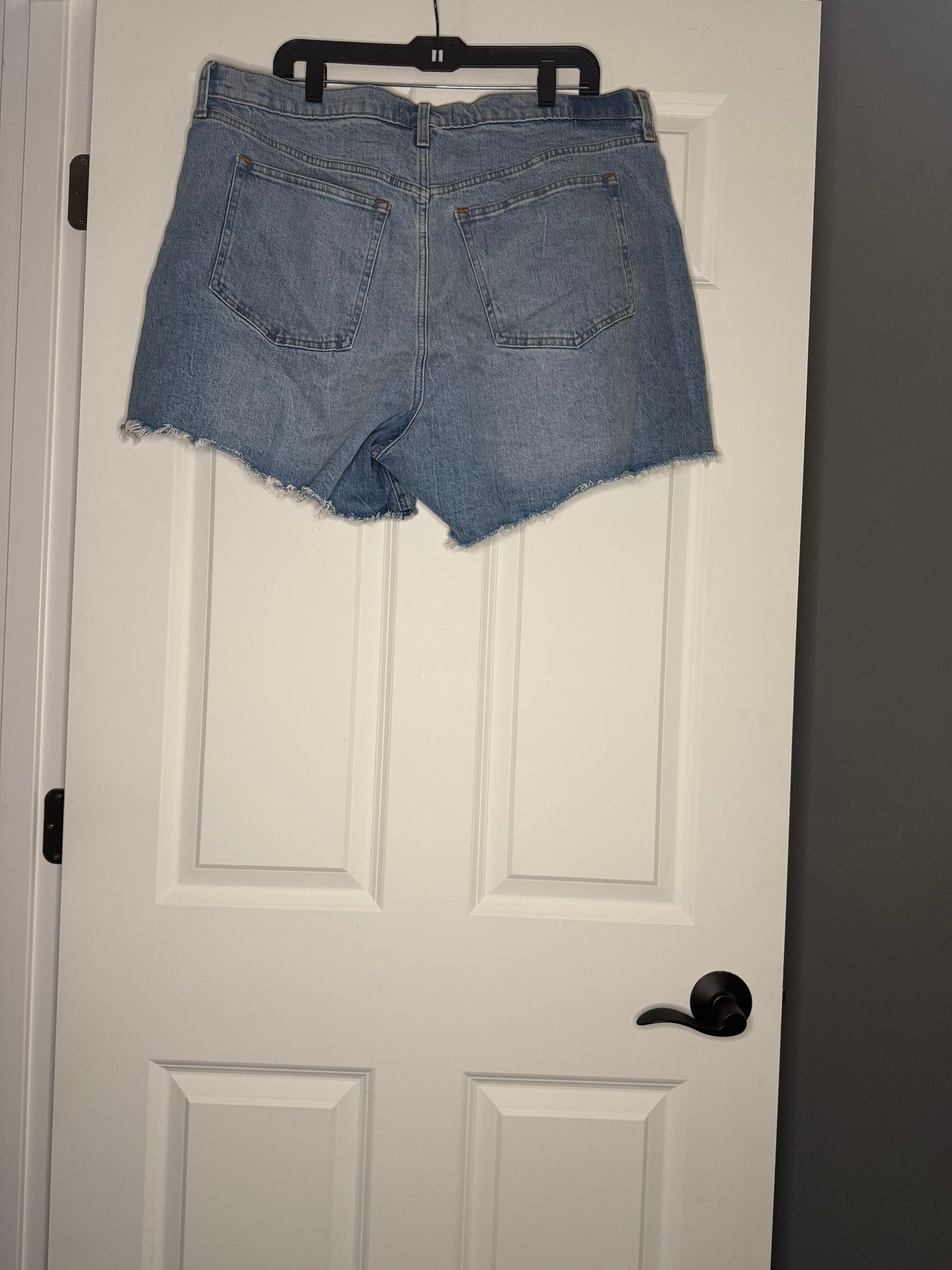 Abercrombie and fitch curve love the dad short high rise 18 nwt