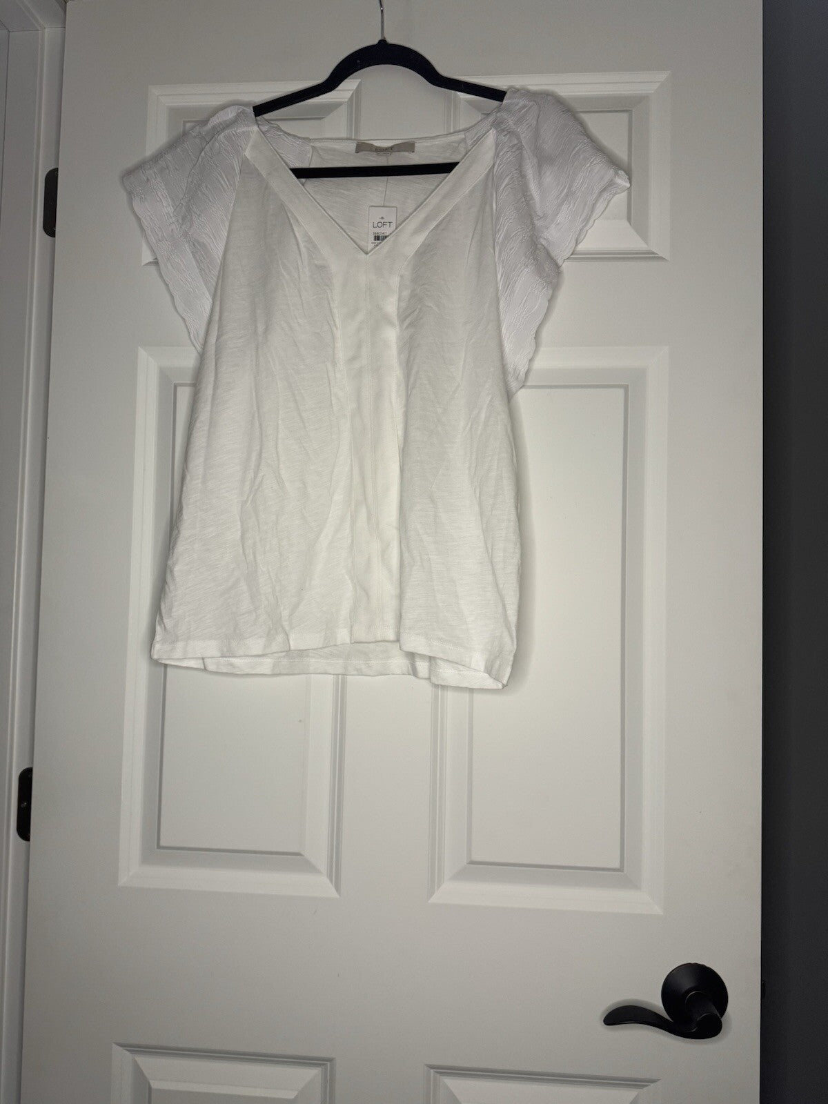 Loft Short Sleeve Blouse White Sheer Sleeves Large Nwt 