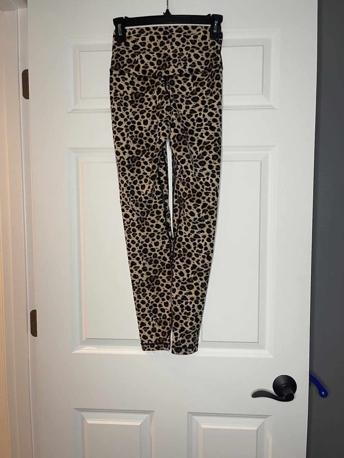 Colorful Koala leggings small animal print brown