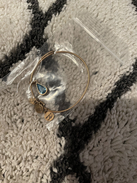 Alex And Ani Energy Infused Bracelet Gold