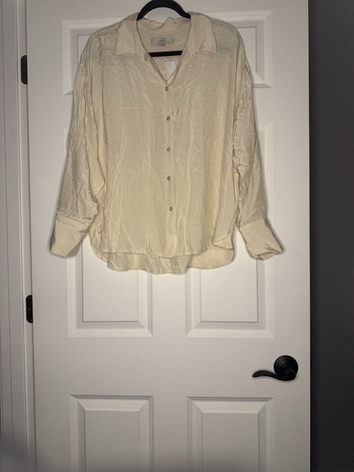 Loft Xl 3/4 Sleeve Button Up  Blouse Cream Shimmery Nwt 69.95