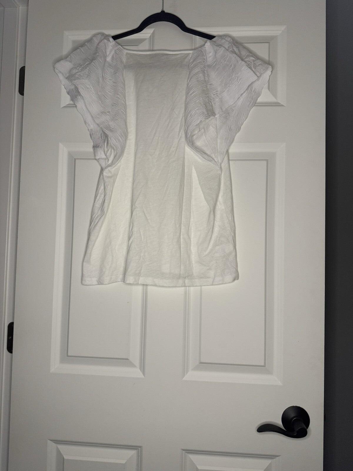 Loft Short Sleeve Blouse White Sheer Sleeves Large Nwt 