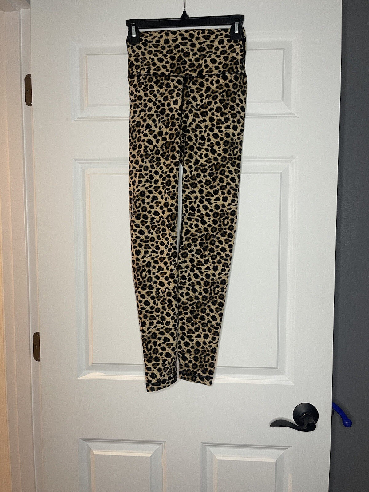 Colorful Koala leggings small animal print brown