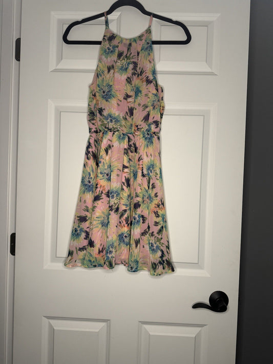 Lush Sleeveless Dress Small Pink W Multi Floral 